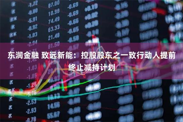 东润金融 致远新能：控股股东之一致行动人提前终止减持计划