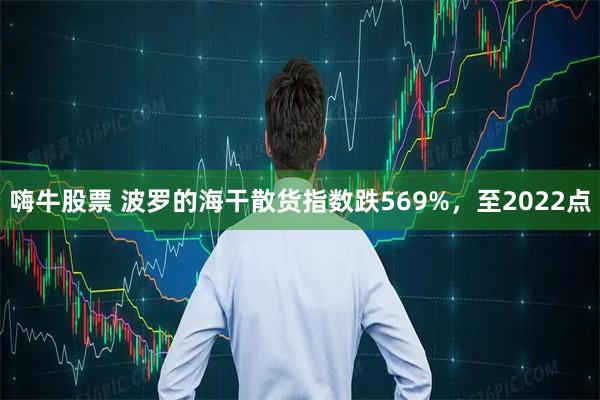 嗨牛股票 波罗的海干散货指数跌569%，至2022点