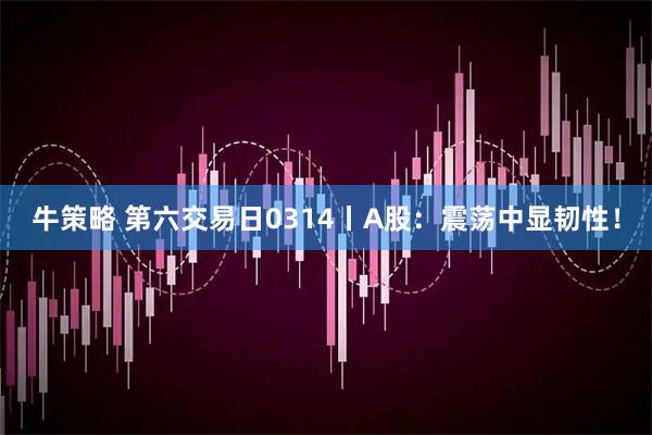 牛策略 第六交易日0314丨A股：震荡中显韧性！
