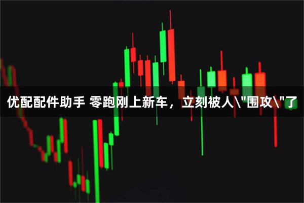 优配配件助手 零跑刚上新车，立刻被人