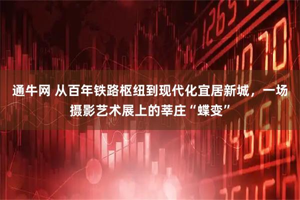 通牛网 从百年铁路枢纽到现代化宜居新城，一场摄影艺术展上的莘庄“蝶变”