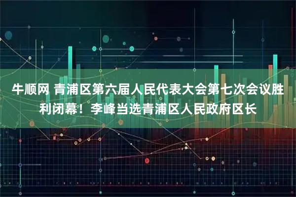 牛顺网 青浦区第六届人民代表大会第七次会议胜利闭幕！李峰当选青浦区人民政府区长